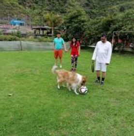 mascotas.jpg