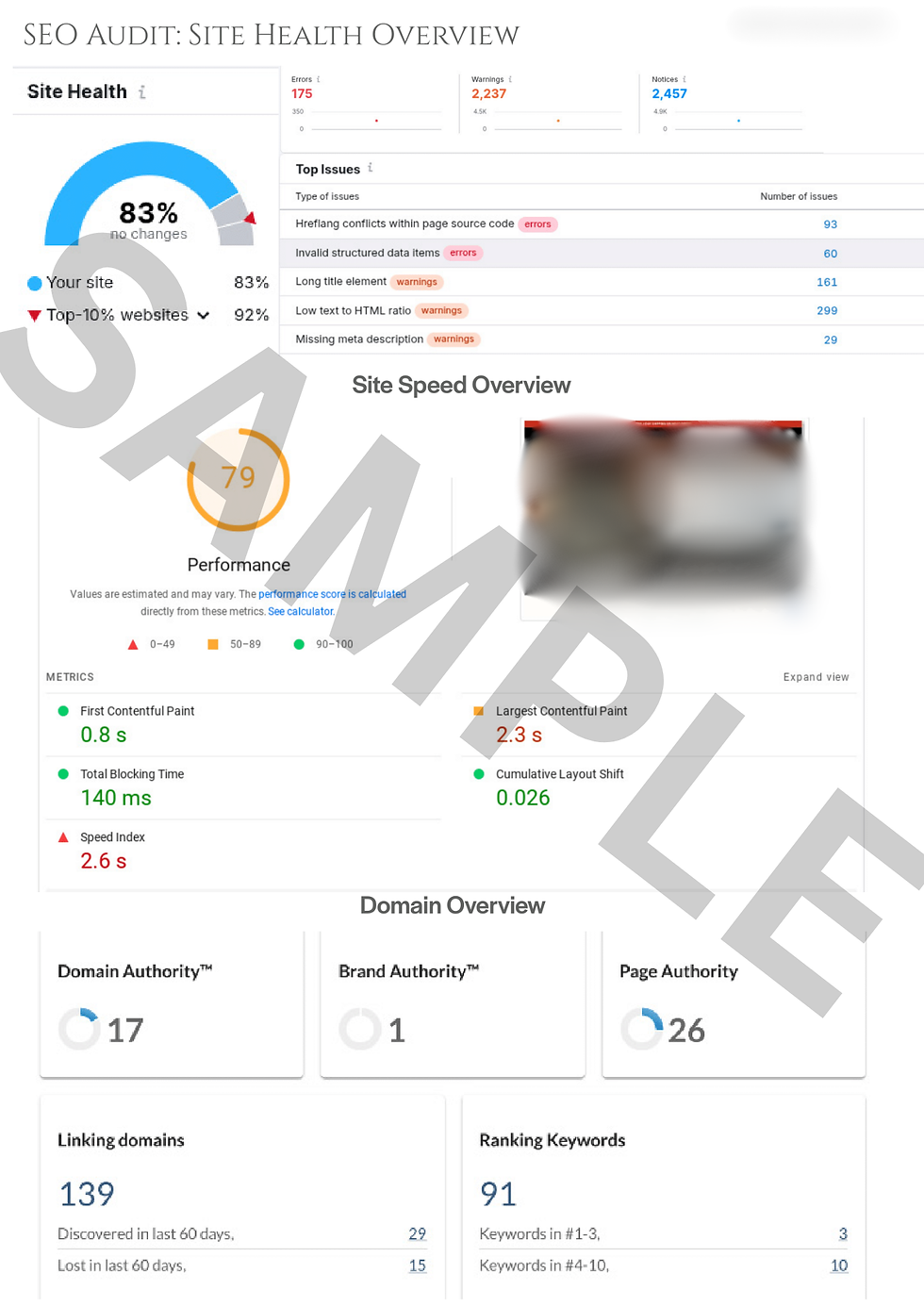 SEO Audit Report Sample: Domain Overview