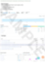 Keyword Research Report Sample | Keyword Overview