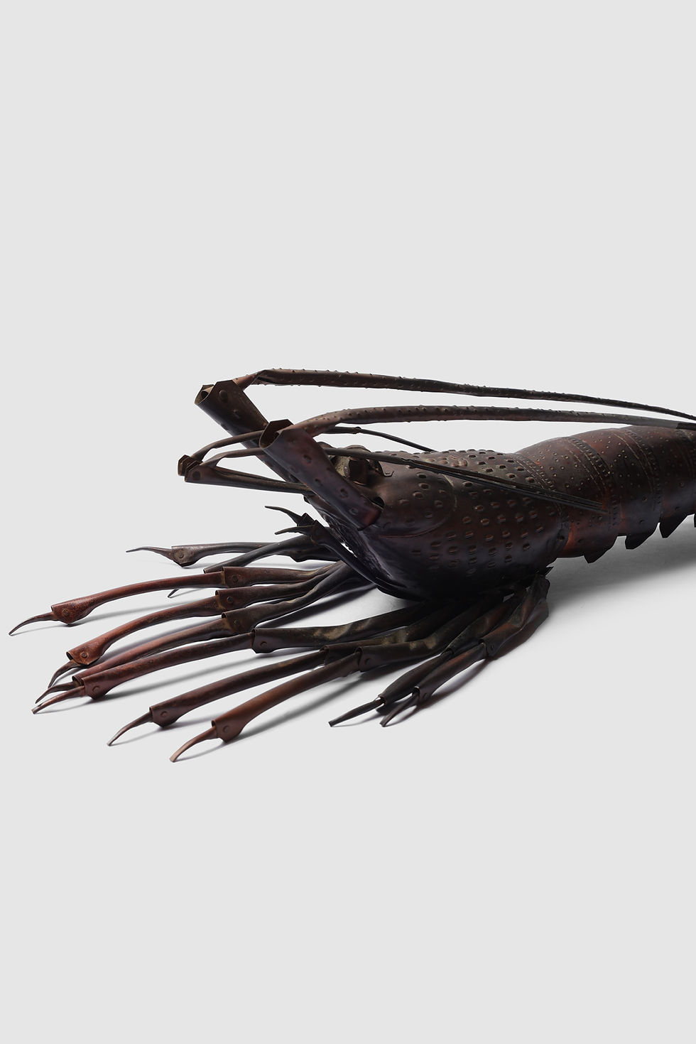 Thumbnail: Copper Ise Shrimp #2