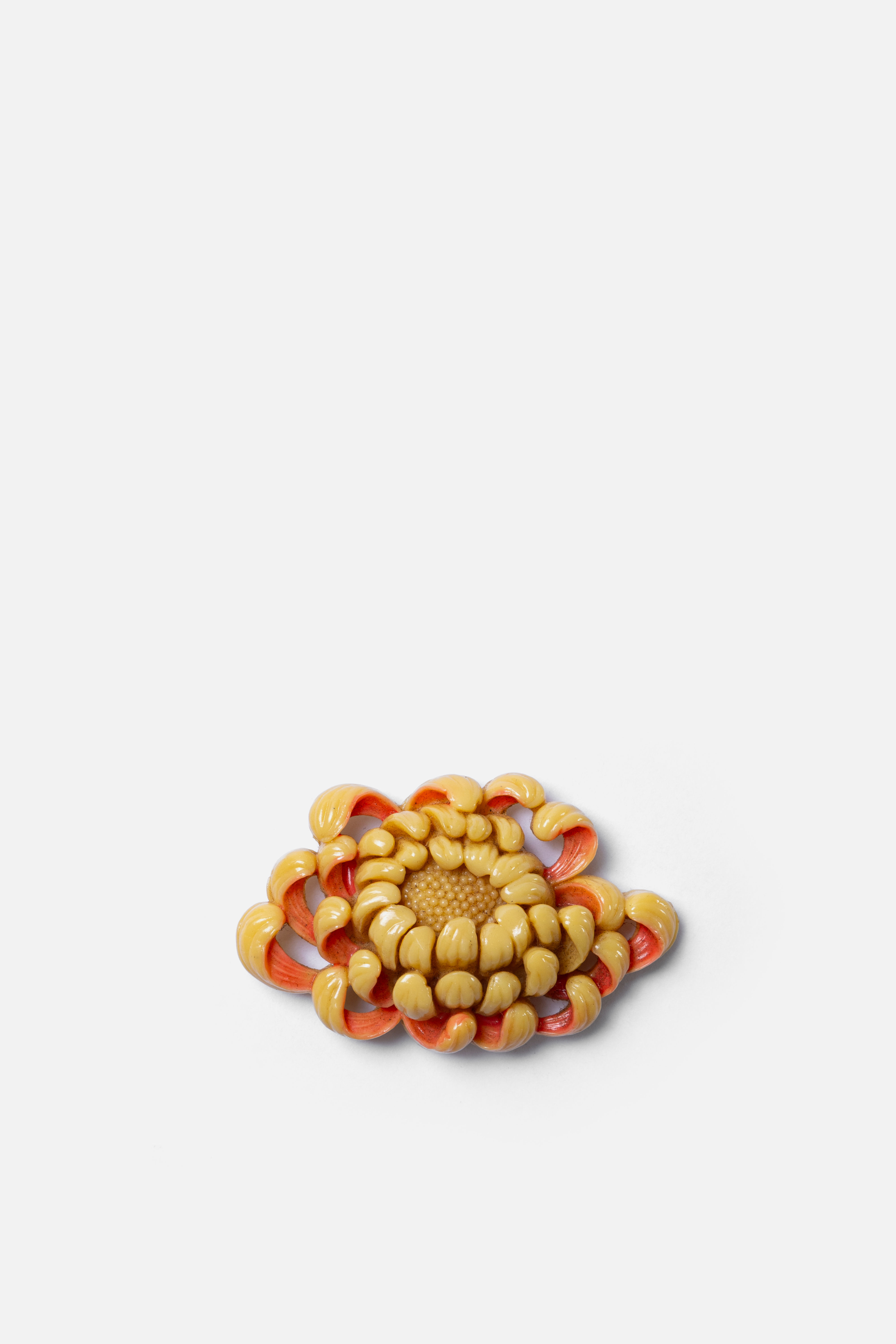 Chrysanthemum Obi-dome
