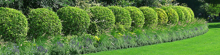 Gartenarbeiten Köln