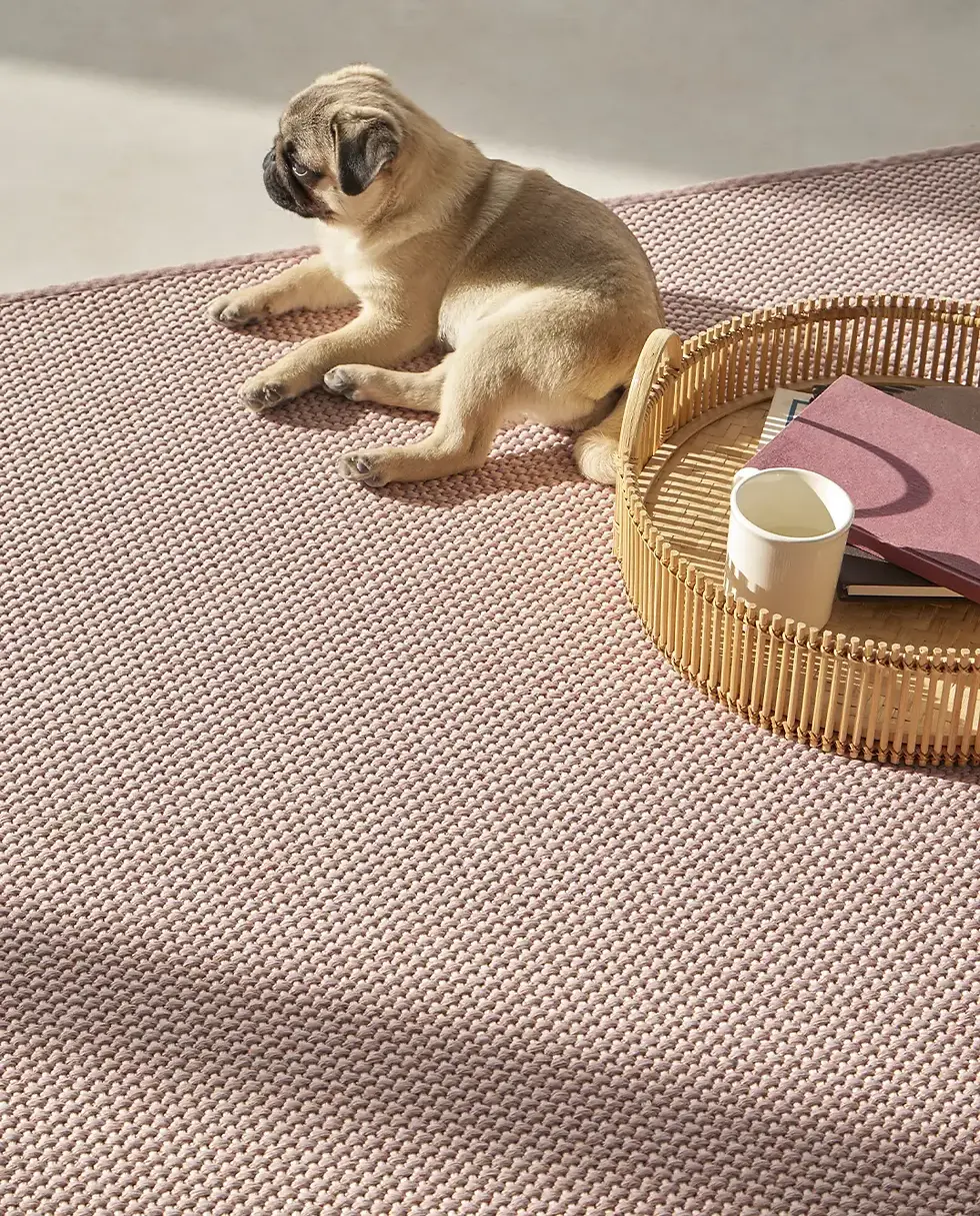 Thumbnail: rozā sisal tipa paklājs Rols Terra Serengueti interjerā