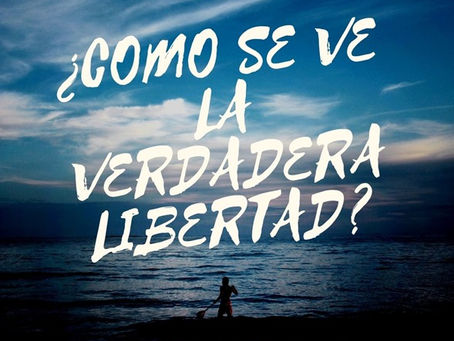 ¿COMO SE VE LA VERDADERA LIBERTAD?