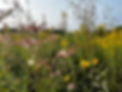 20240908_140329850_iOS.heic