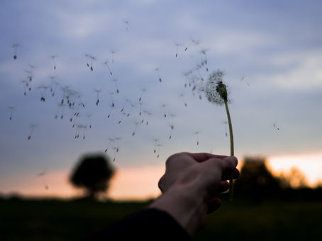 Riding the Winds of Change