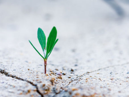 Transcending Your Circumstances: Taking Only What You Need