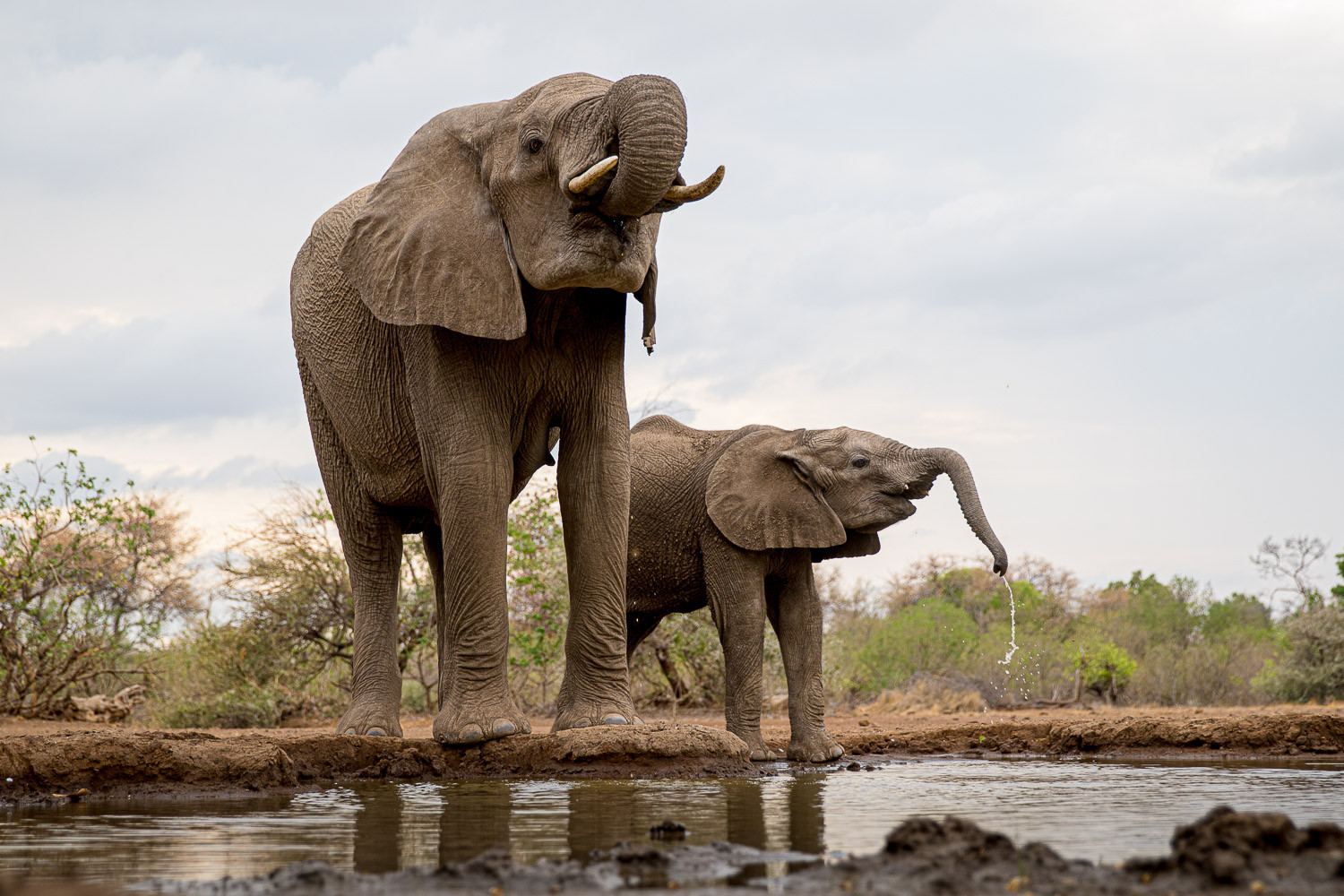 Classic Zambia | Premium Africa Safari Holidays