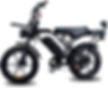 Thumbnail: Fat Bike X80 Pro