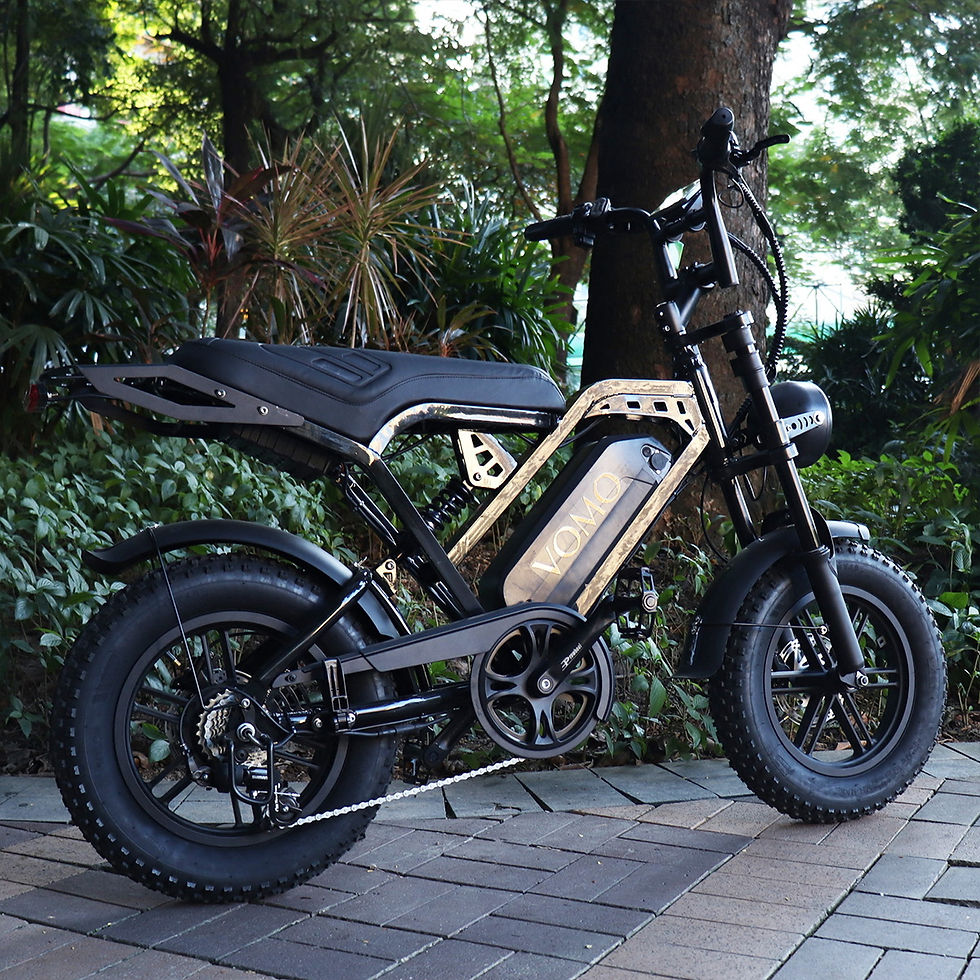 Thumbnail: X80 Mini Fatbike