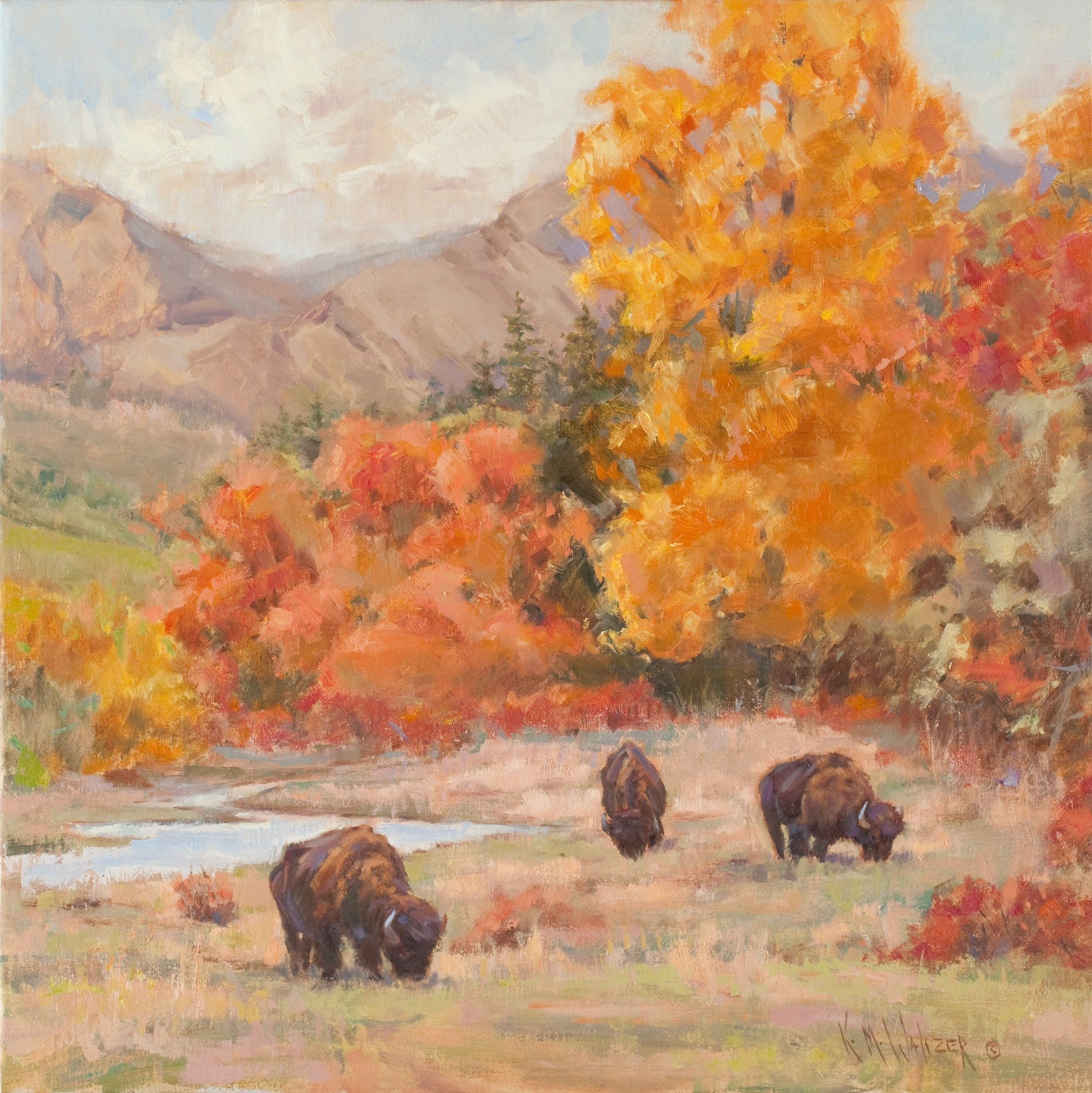 Wichita Autumn Glory 20x20"