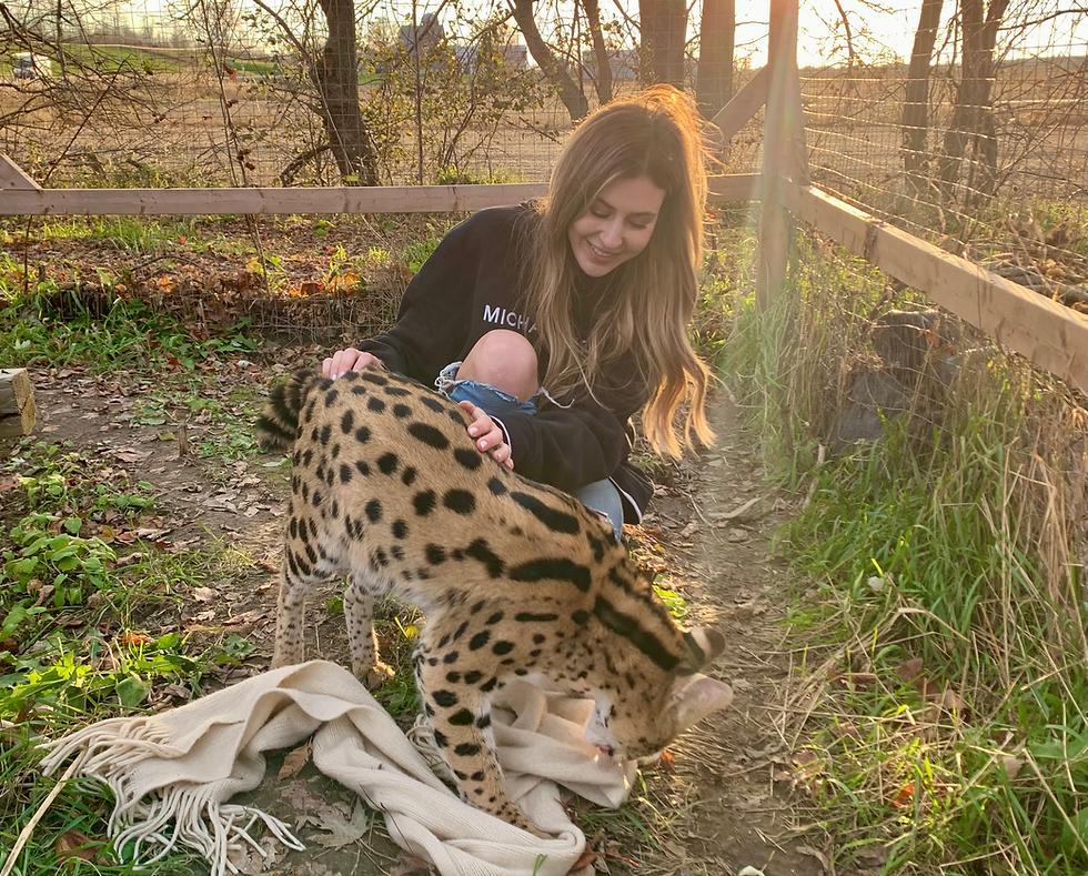 Photo avec serval.heic