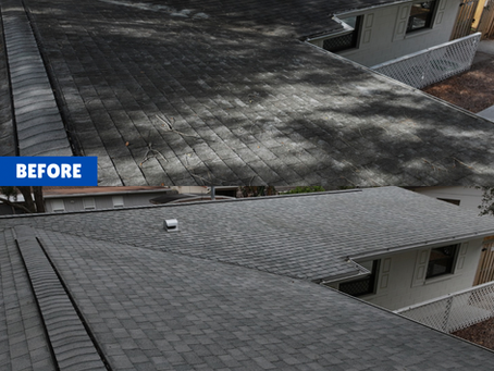 Before and after roof soft washing in Brevard County, FL removing algae and black streaks
