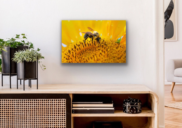 Acrylic Prints