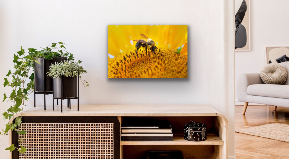 Acrylic Prints