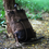 縮圖：TRIP MACHINE BACKPACK PANNIER