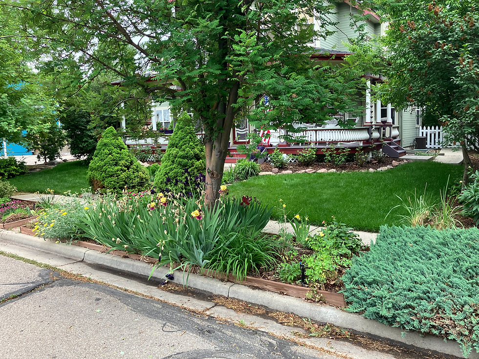 organic lawn care and irrigation colorado.HEIC