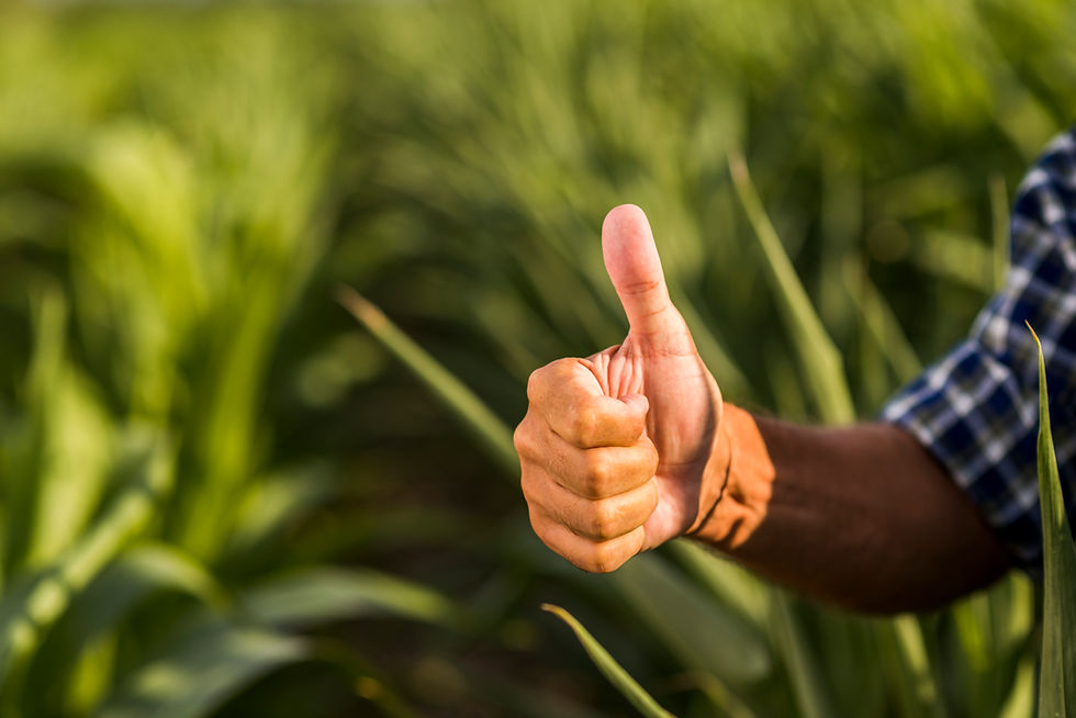 close-view-thumb-up-man-field.jpg