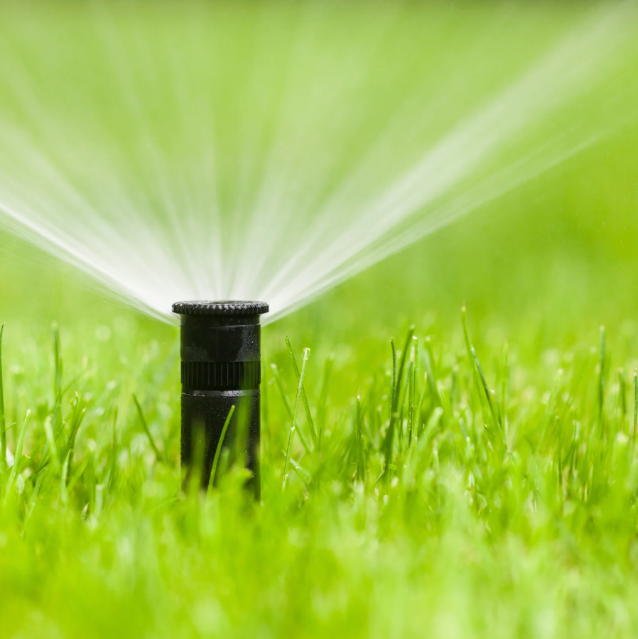 sprinkler system vs drip irrigation boulder county