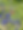GROW Boulder - Hyssop.png