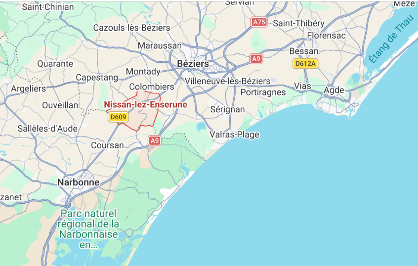 nissan carte.png