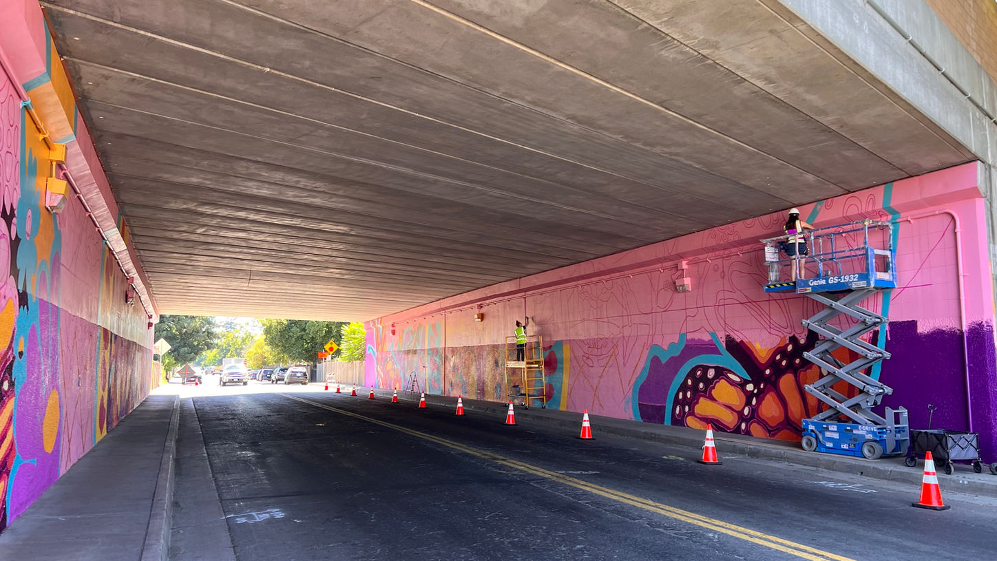 A colorful underpass mural in progress by artist muralist Jaya King with butterflies and flowers in Sacramento.