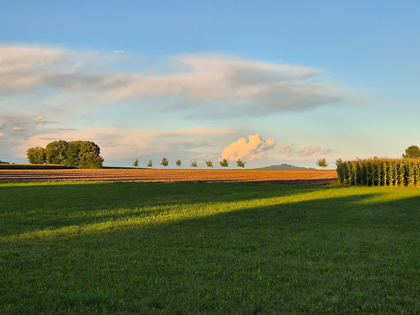 20250905_192216 (1).jpg