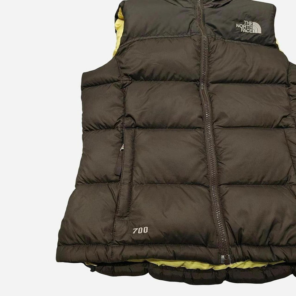 The North Face Puffer Side View