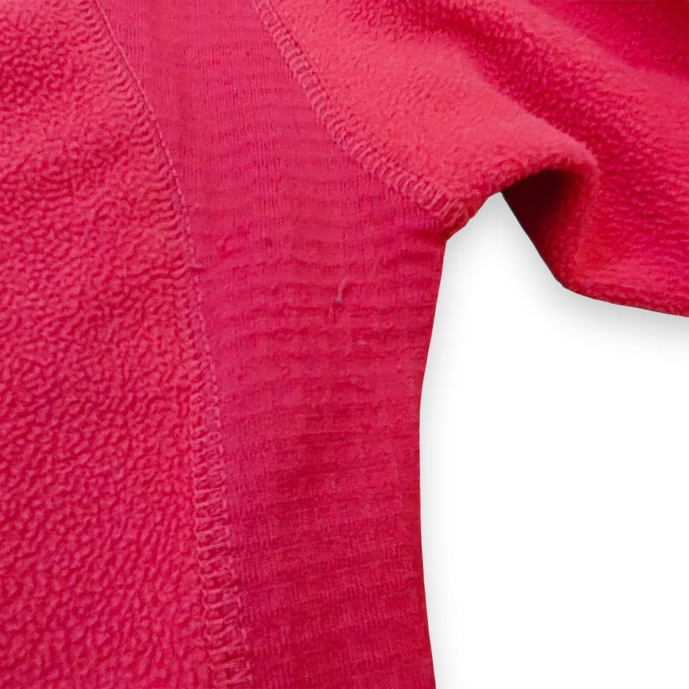Thumbnail: Y2K Vintage The North Face Summit Series Fleece