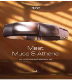 Muse.JPG