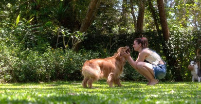 How Having a Dog Can Benefit Your Health