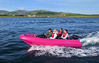 RiverBus pink side.jpg