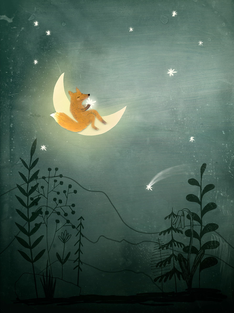 Fox on the Moon