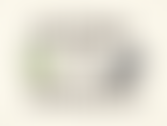 🌿 Oliveira ou Navalha?