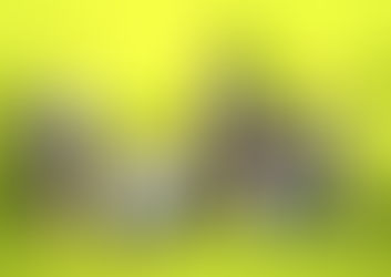 Le groupe "syh" (Given) fait ses débuts dans le monde réel !