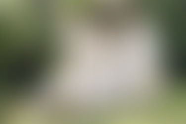 Nouveau MV pour les ONE N' ONLY