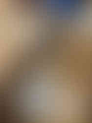 étape 1 : la structure de la boite a livre