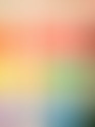 Palette de peintures 