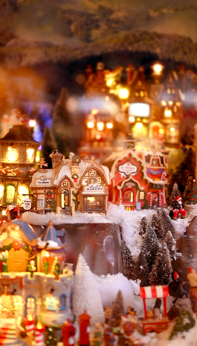 village de noel botanic