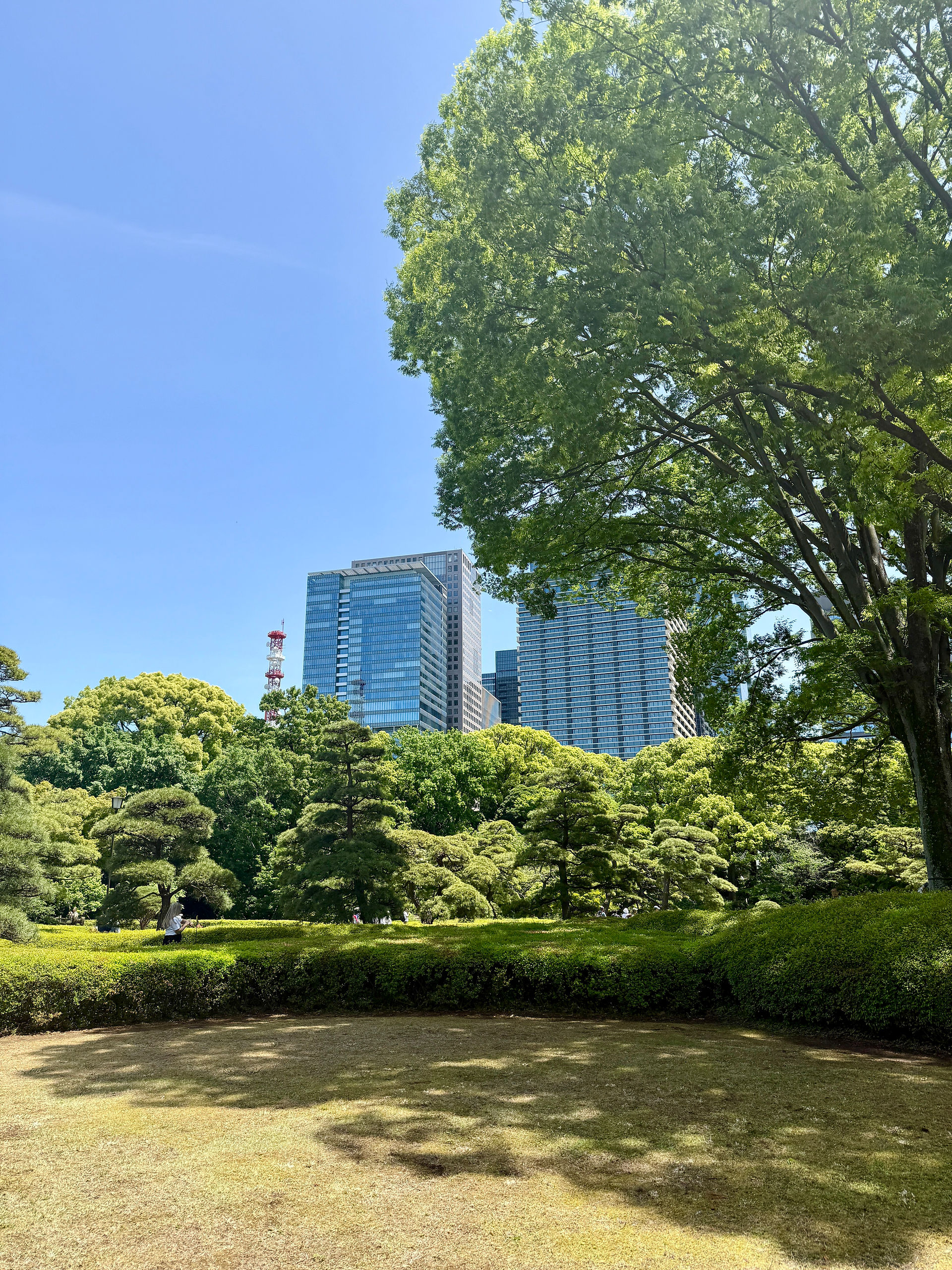 Jardins du palais impérial, Tokyo