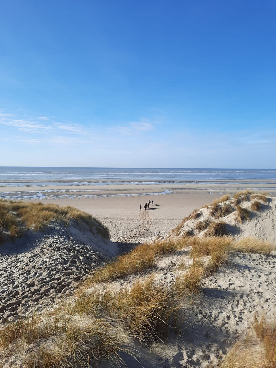 Plage le touquet
