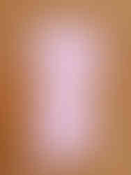 les accessoires de Douglas le teckel, l'imperméable