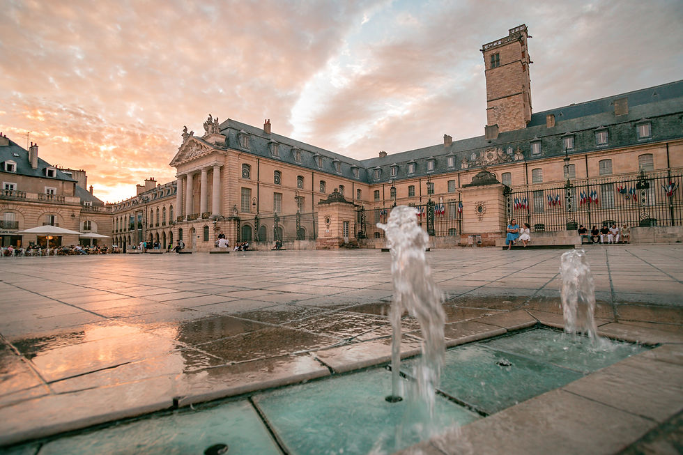 place de la liberation dijon