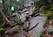 DSC00627-or - Copy(1).JPG