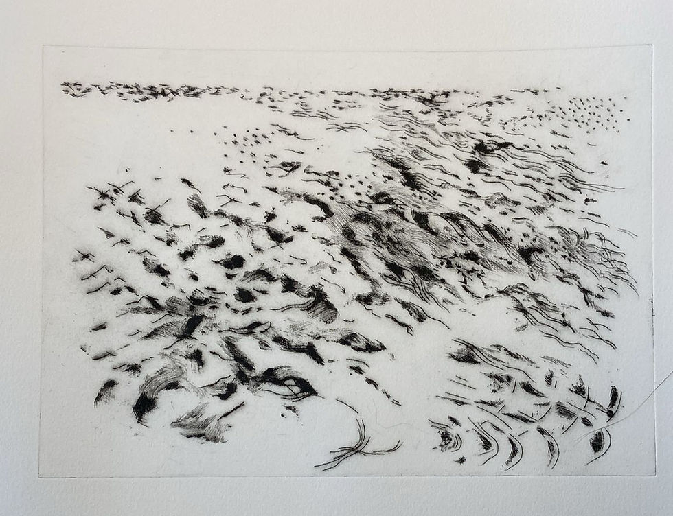 Thumbnail: Moving Mountains, Drypoint & carborundum ,Louisa Burnett Hall