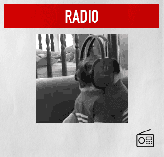 radio_dog.gif