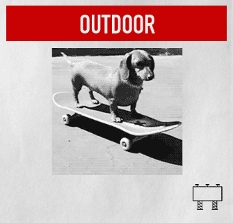 outdoor-dog.gif