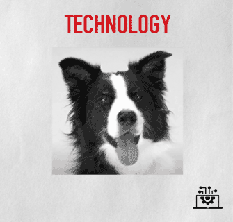 CATEGORY-technology_border-collie.gif