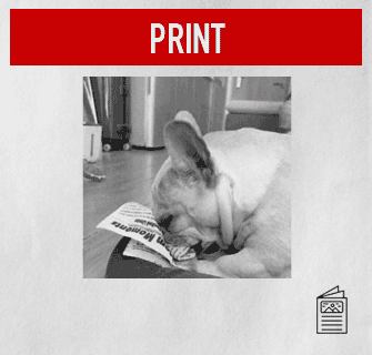 print-dog.gif