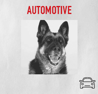 CATEGORY-automotive_german-shepard.gif